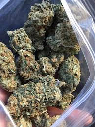 MediHaze (or CBD Medi Haze)