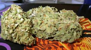 Durban Poison