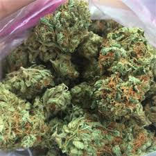 Love Potion
