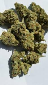 LA Confidential