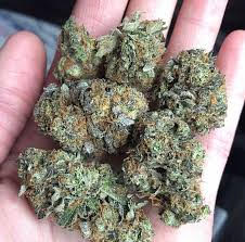 Hindu Kush