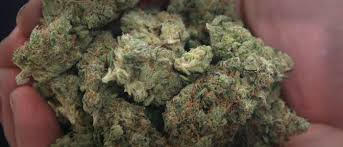 Headband