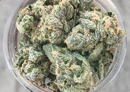 Northern Lights