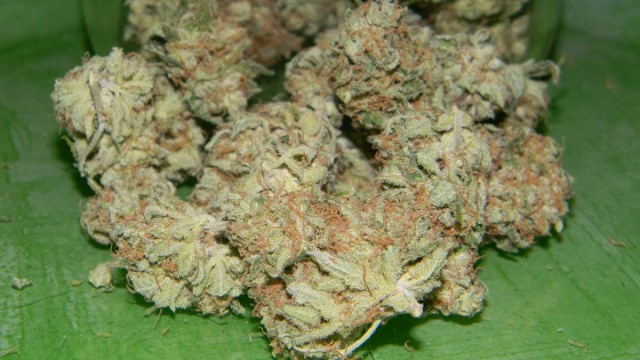 Critical Mass