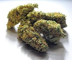 Sour Tangie