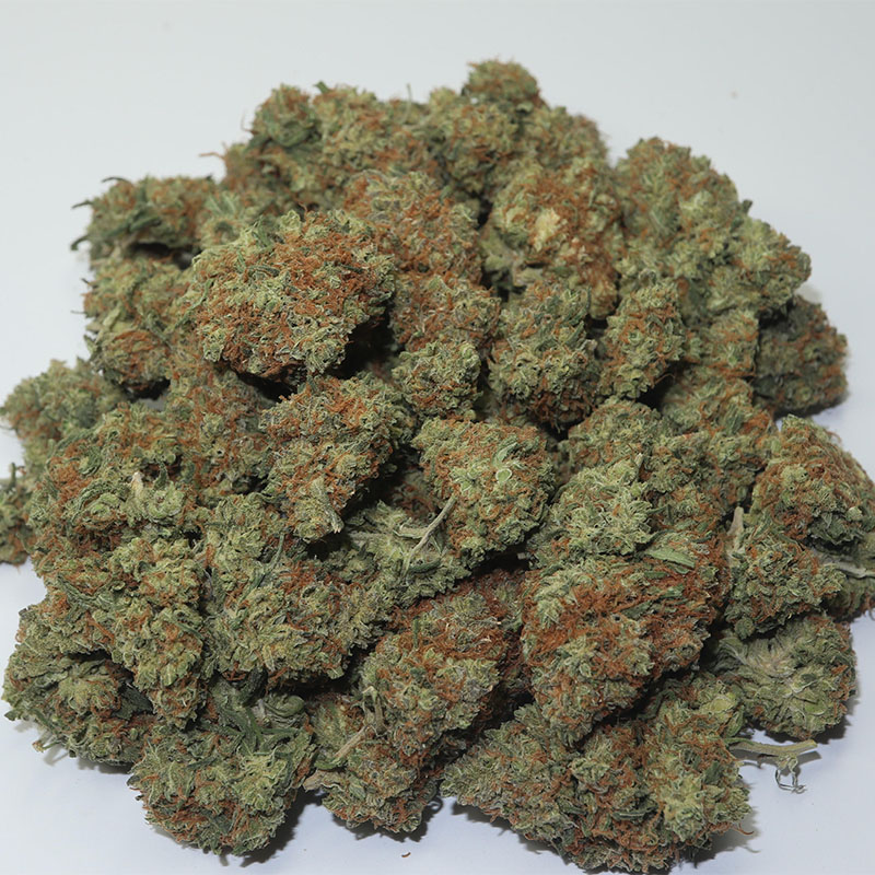Chocolope Kush