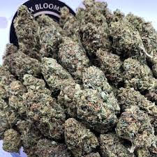 King Louis XIII