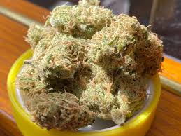 Golden Goat