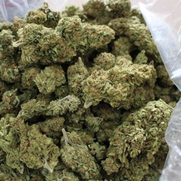 Sunset Sherbet